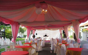 320×202-wedding-canopy-2